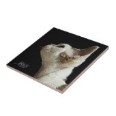 Devon Rex Kitten Tegeltje (Zijkant)