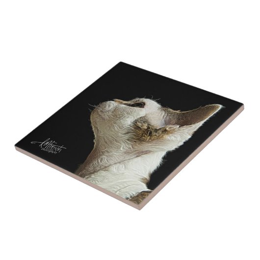 Devon Rex Kitten Tegeltje (Zijkant)