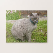 Devon Rex pet cat in tuin Legpuzzel (Horizontaal)