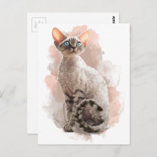 Devon Rex Sofi Briefkaart (Voorkant / Achterkant)