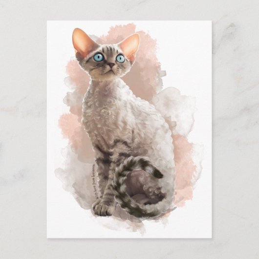 Devon Rex Sofi Briefkaart (Voorkant)