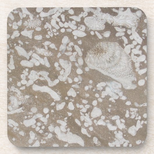 Devonian Fossil Brown & White Drink Coasters Drankjes Onderzetter (Voorkant)