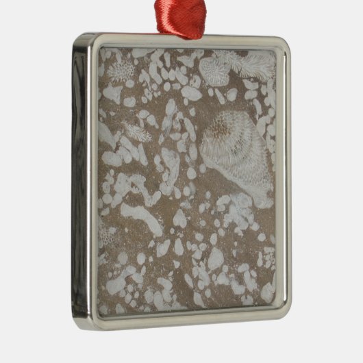 Devonian Fossil Brown & White Kerstannament Metalen Ornament (Rechts)