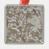 Devonian Fossil Brown & White Kerstannament Metalen Ornament (Voorkant)