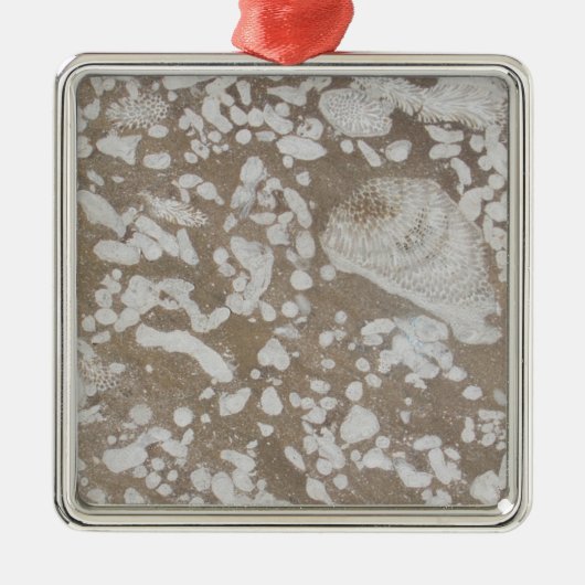 Devonian Fossil Brown & White Kerstannament Metalen Ornament (Voorkant)
