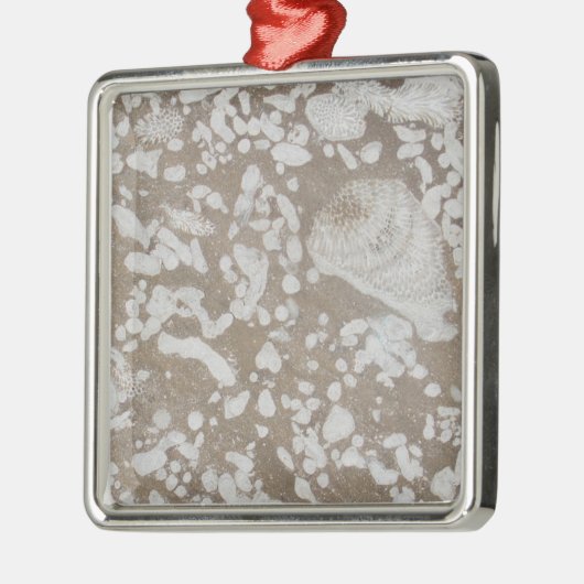 Devonian Fossil Brown & White Kerstannament Metalen Ornament (Links)