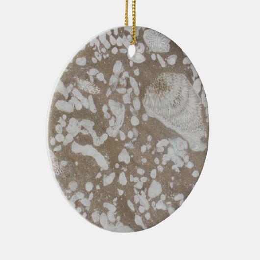 Devonian Fossil Brown & White Ornament (Rechts)