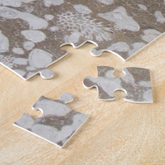 Devonian Fossil Brown & White Puzzle Legpuzzel (Zijkant)
