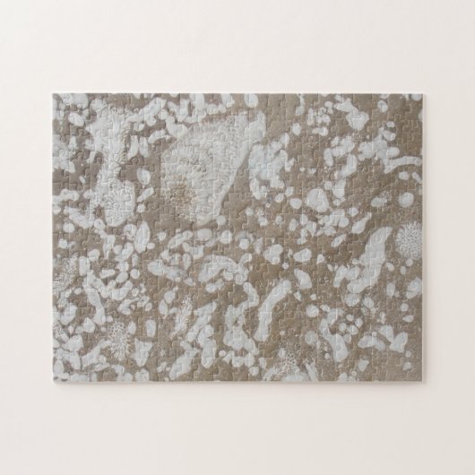 Devonian Fossil Brown & White Puzzle Legpuzzel (Horizontaal)