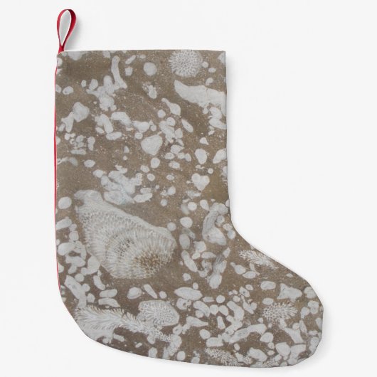 Devonian Fossil Gorge Kleine Kerstsok (Voorkant)