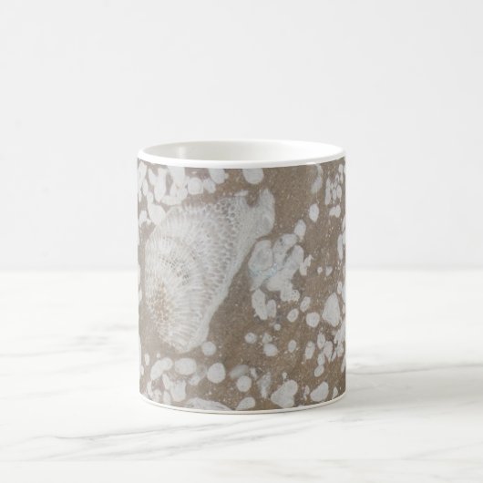 Devonian Fossil Gorge Koffiemok (Center)