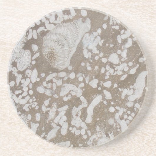 Devonian Fossil Sandstone Drink Onderzetter (Voorkant)