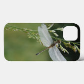 Dew cover Darner Dragonfly (Achterkant (horizontaal))