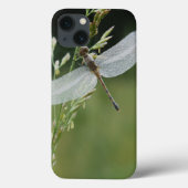 Dew cover Darner Dragonfly (Achterkant)