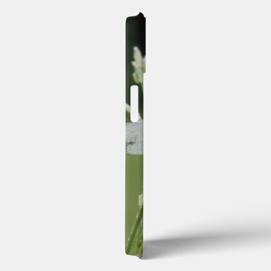 Dew cover Darner Dragonfly (Achterkant / Rechts)