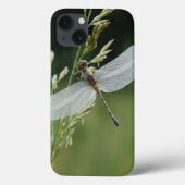 Dew cover Darner Dragonfly (Achterkant)