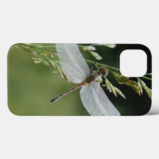 Dew cover Darner Dragonfly (Achterkant (horizontaal))