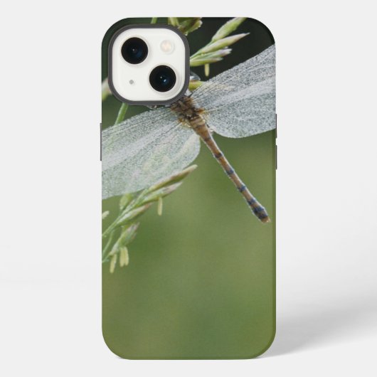 Dew cover Darner Dragonfly iPhone Hoesje (Achterkant)