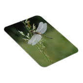 Dew cover Darner Dragonfly Magneet (Rechterzijde)