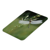 Dew cover Darner Dragonfly Magneet (Linkerzijde)