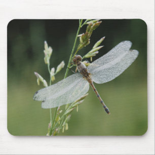 Dew cover Darner Dragonfly Muismat