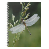 Dew cover Darner Dragonfly Notitieboek (Voorkant)