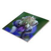 Dew Dapped Lupine Tegeltje (Zijkant)