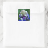 Dew Dapped Lupine Vierkante Sticker (Tas)