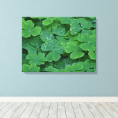 Dew Drenced Clovers Macro Fotobehang Canvas Afdruk (Insitu (Houten vloer))