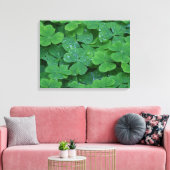 Dew Drenced Clovers Macro Fotobehang Canvas Afdruk (Insitu (Woonkamer))