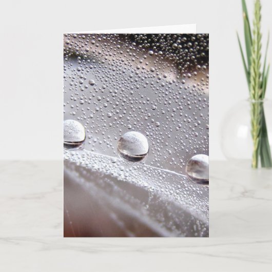 Dew Drop Astral Stories in de Natuur Kaart (Voorkant)