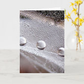 Dew Drop Astral Stories in de Natuur Kaart (Gele Bloem)