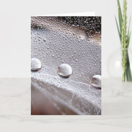 Dew Drop Astral Stories in de Natuur Kaart