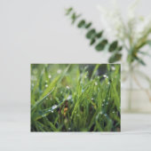 Dew Drop Grass Gardening briefkaart (Staand voorkant)