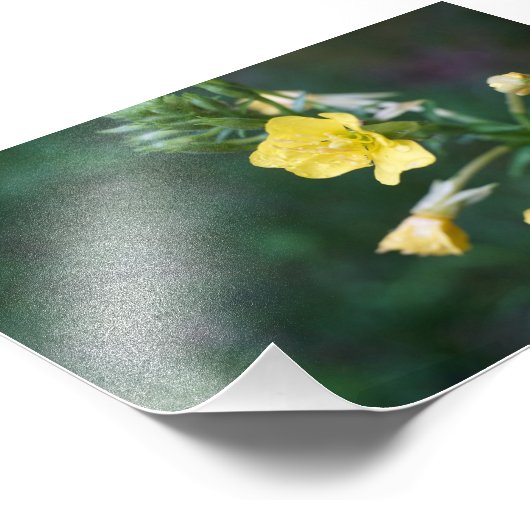 Dew Drop Intiem Foto Afdruk (Hoek)