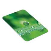 Dew Drop on Green Grass Meditatie Magneet (Rechterzijde)