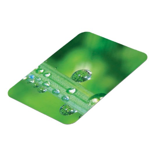 Dew Drop on Green Grass Meditatie Magneet (Linkerzijde)
