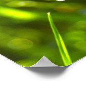 Dew Drop Poster (Hoek)