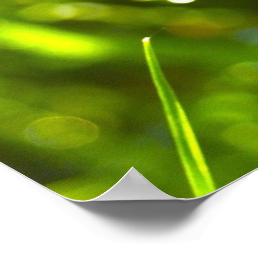 Dew Drop Poster (Hoek)