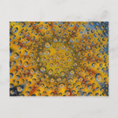 Dew Drop reflection of flower, Crescent City, Briefkaart (Voorkant)