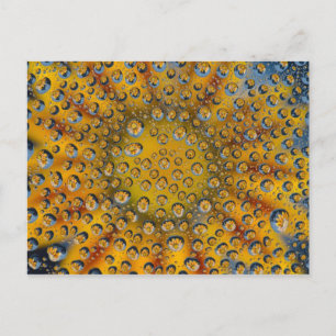 Dew Drop reflection of flower, Crescent City, Briefkaart