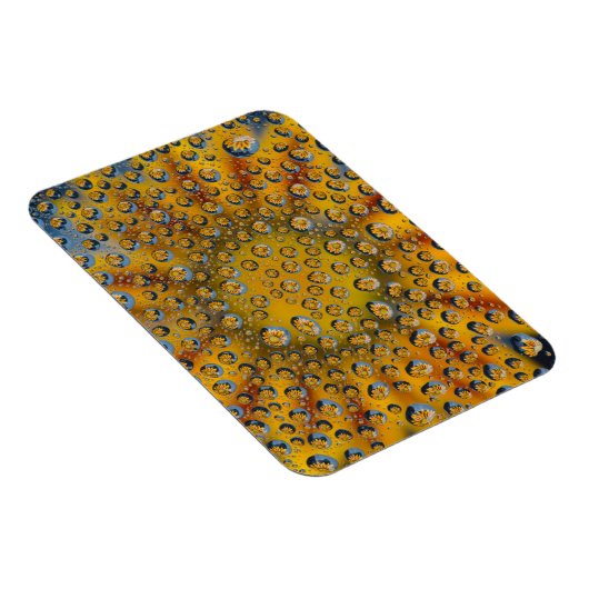 Dew Drop reflection of flower, Crescent City, Magneet (Rechterzijde)