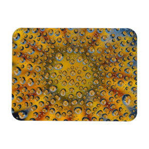 Dew Drop reflection of flower, Crescent City, Magneet