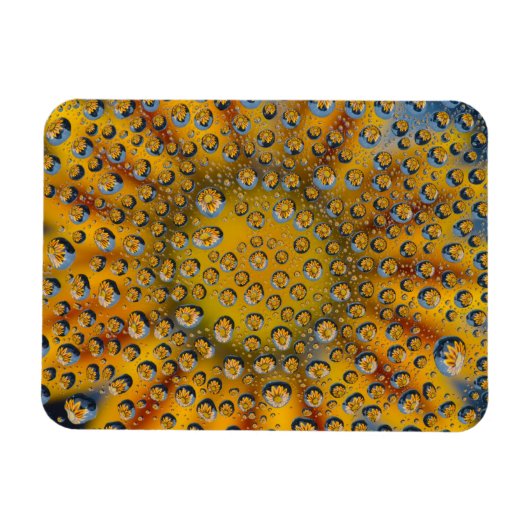 Dew Drop reflection of flower, Crescent City, Magneet (Horizontaal)