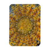 Dew Drop reflection of flower, Crescent City, Magneet (Verticaal)