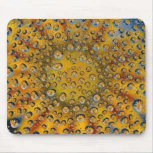 Dew Drop reflection of flower, Crescent City, Muismat