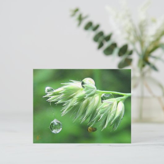 Dew Drop Rope Swing Playful Nature Briefkaart (Staand voorkant)