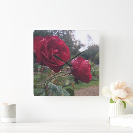 Dew Drop-Rozen Vierkante Klok (Huis)