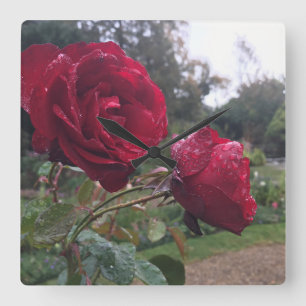 Dew Drop-Rozen Vierkante Klok