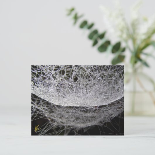 Dew Drop Water Hammock Spider Web Briefkaart (Staand voorkant)